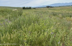 3994 SKY VIEW DRIVE, Tetonia, ID 83452