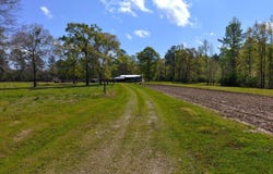 15910 County Road 34, Andalusia, AL 36420