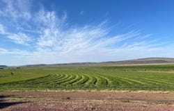 60646 Anderson Valley Rd, Princeton, OR 97721