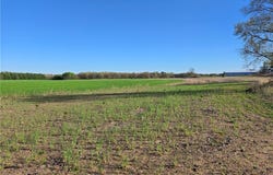 16.74 Acres County Road N, Wheeler, WI 54772