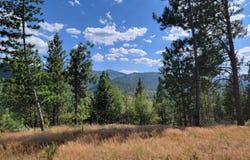 Lot A Blue Star Lane, Pinehurst, ID 83850