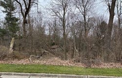 Lot 32 W High Street, Greenville, MI 48838