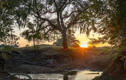403 Hickey Road, Yoakum, TX 77995