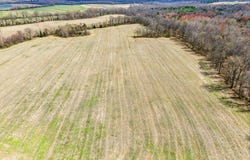 6000 Hopkinsville Mt Zoar Rd, HOPKINSVILLE, KY 42240