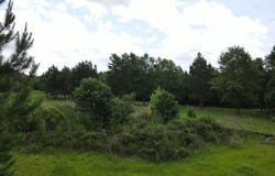 00 Reynolds Road, Barnwell, SC 29812