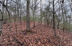 Lot 12a Oak Loop, Mineral Bluff, GA 30559