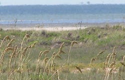 lot: 12, SOUTH PADRE ISLAND, TX 78597
