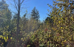 8787 Hemlock Hill Drive, Traverse City, MI 49685