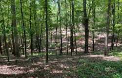 TRACT 3 CHALCREST Way, Cave Spring, GA 30124