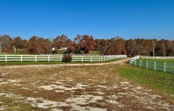 710 County Road 328, Thayer, MO 65791