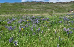 988 CR 2192, Granby, CO 80446