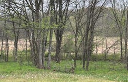 101 County Road 389, Whitewater, MO 63785