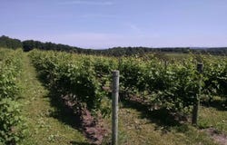 S French Road, Lake Leelanau, MI 49653