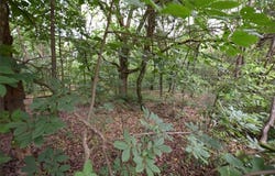 12401 Readings  RD, Gentry, AR 72734