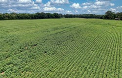 4999 Ben Smith Rd, MCKENZIE, TN 38201