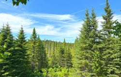 7887 N Beaver Rd, Paradise, MI 49768