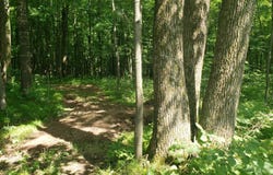 3 Liberty Lane, Phillips, WI 54555