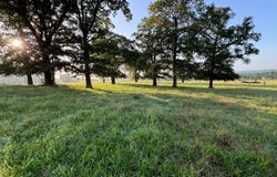 36 AC E 1430 Rd, Asher, OK 74826