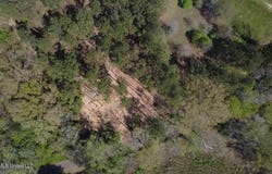 1256 Barnes Rd, Canton, MS 39046