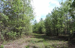 9999 Tessa Drive, Lone Rock, WI 53556