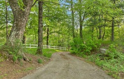 2384 White Mountain Highway, Conway, NH 03860