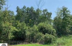 -0- S Huron, Au Gres, MI 48703