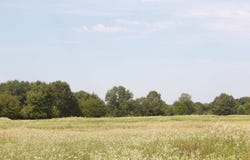 520  Road 2110, Boswell, OK 74727