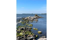 Pine Island, Isle, MN 56342
