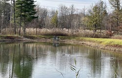51 Vettura Court, Malta, NY 12020