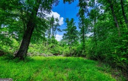135 Ac Hanson, Lagrange, GA 30240
