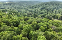 0196 ROUTE 487, Lopez, PA 18628