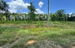L 10 Private Rd 7700, San Augustine, TX 75972