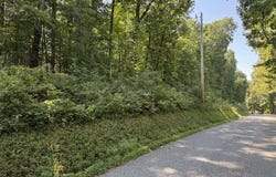 Powder Mill Lane, LaFollette, TN 37766