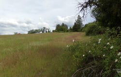 Summit Grade Parcel "d", Lenore, ID 83501