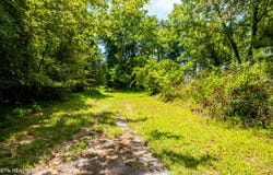 1416 Eureka Rd, Rockwood, TN 37854