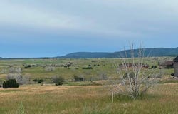 Good Pasture Rd lot: 16, Beulah, CO 81023
