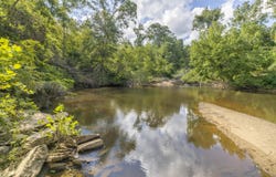 Tbd Burton Drive, Edgefield, SC 29824