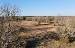 825 COUNTY ROAD 2511, Naples, TX 75568