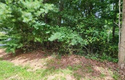 Barebridge Drive unit: 9, Burnsville, NC 28714