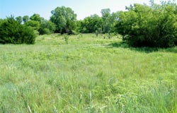 Mesquite Drive, Lawton, OK 73505