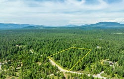 Nka Northern Sky Rd. lot 2, Athol, ID 83801