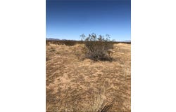 3367 S Alamo Road, Golden Valley, AZ 86413