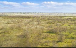 Tbd2 TX 148 Highway, Jacksboro, TX 76458