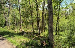 Tbt RANGE VIEW DR, Hurley, WI 54534