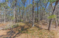 175 Delphi Path, Wellfleet, MA 02667