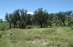 0001 CR 146, Brady, TX 76825