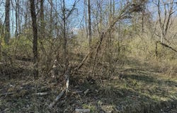 0 TBD Trail Pines/Edge Lane, Frenchburg, KY 40322