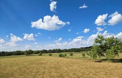 254 Possum Haw Holly Trail, Leakey, TX 78873