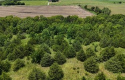 0020 FM 2675, Enloe, TX 75441