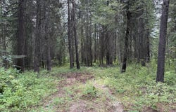 LOT 2 SPRINGDALE-HUNTERS RD, SPRINGDALE, WA 99173